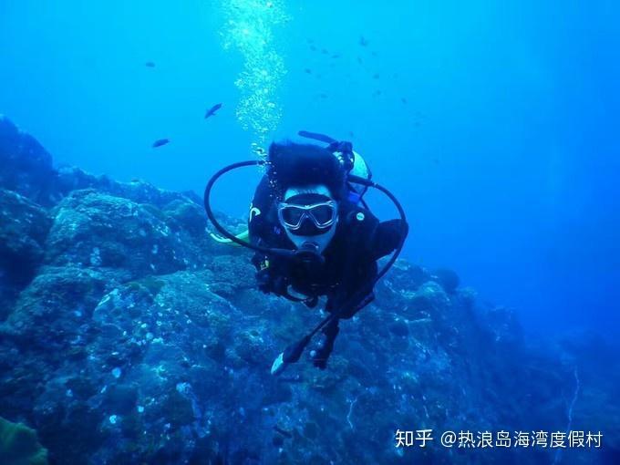 救援蓝色小兔