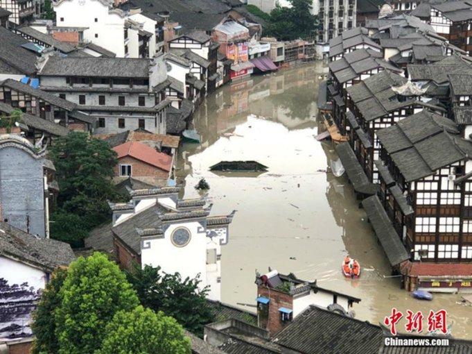 这个是柚子叶吗？